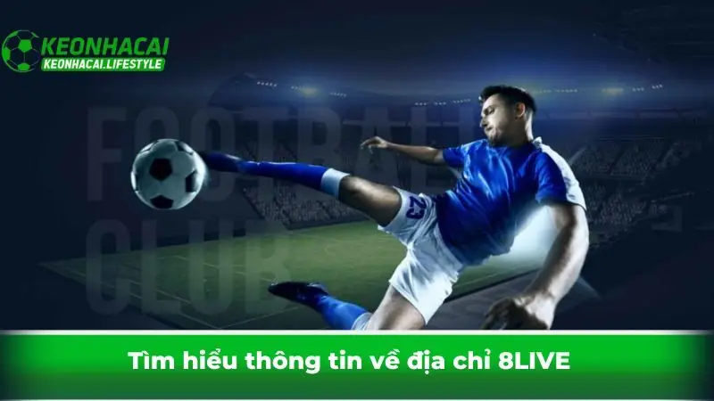 Tìm hiểu thông tin về địa chỉ 8LIVE