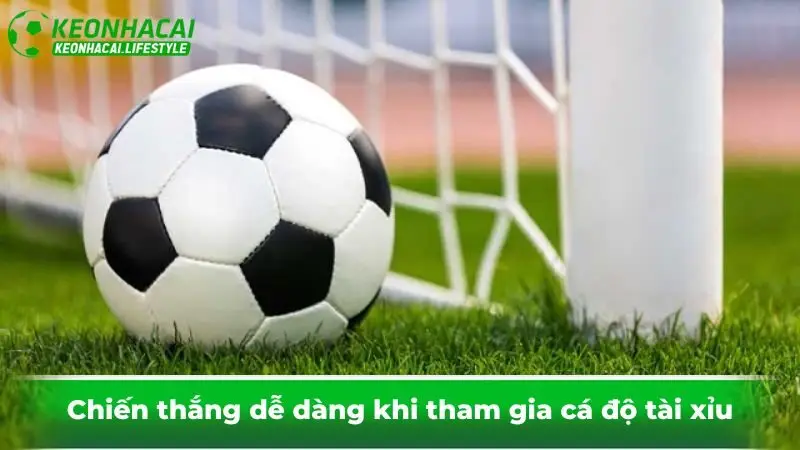 Chiến thắng dễ dàng khi tham gia cá độ tài xỉu 