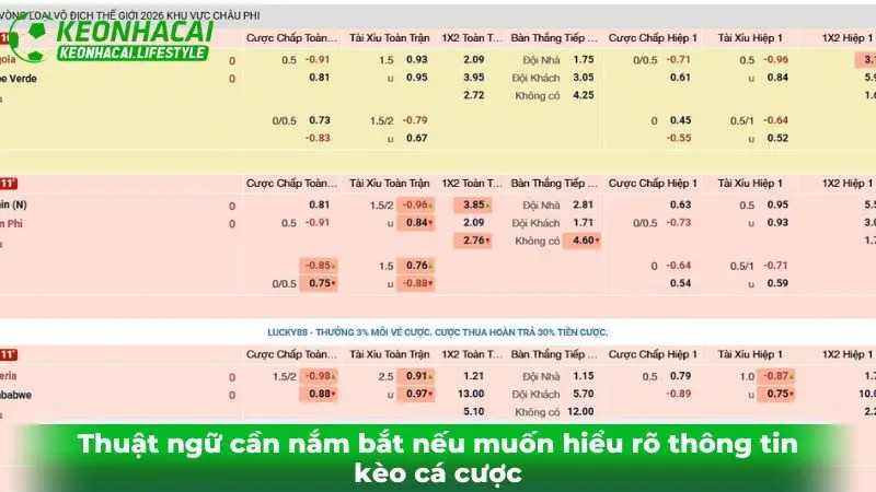 Thuật ngữ cần nắm bắt nếu muốn hiểu rõ thông tin kèo cá cược Thuật ngữ cần nắm bắt nếu muốn hiểu rõ thông tin kèo cá cược