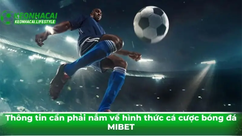 Thông tin cần phải nắm về hình thức cá cược bóng đá MIBET