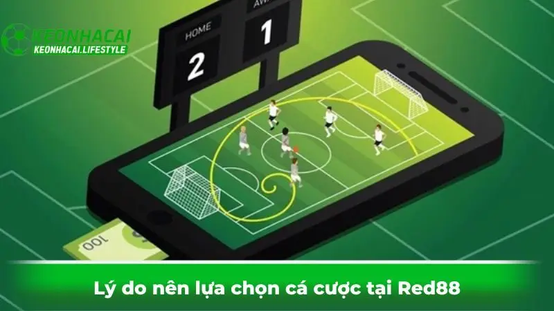 Lý do nên lựa chọn cá cược tại Red88